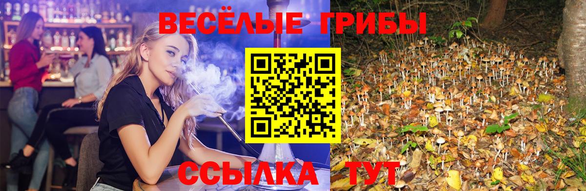 Галлюциногенные грибы мицелий  Вход с VPN  Псилоцибиновые грибы Psilocybe  Магнитогорск 